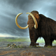 Mamut. Wikimedia Commons